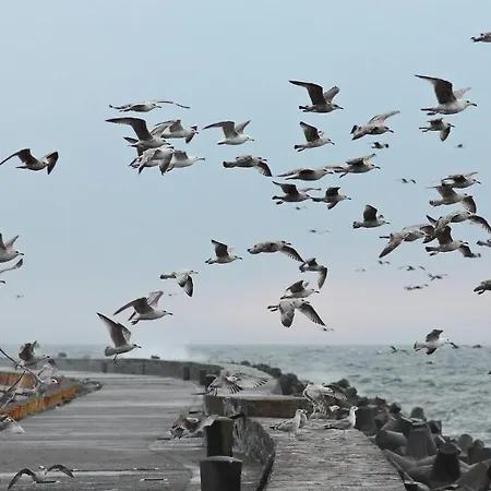 Amber Port Darłówko