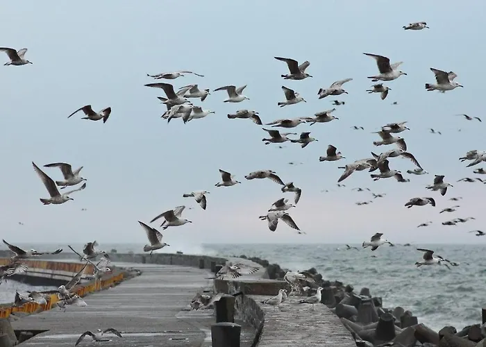 Amber Port Darłówko