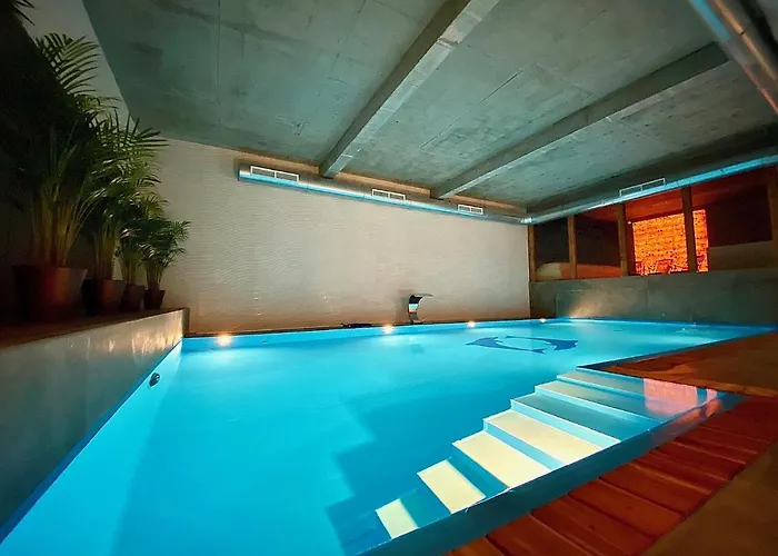 Amber Port دارووفكو