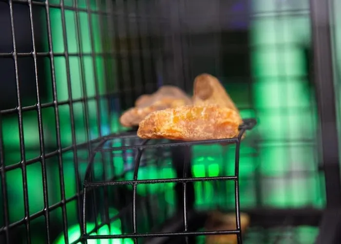 Amber Port Darłówko